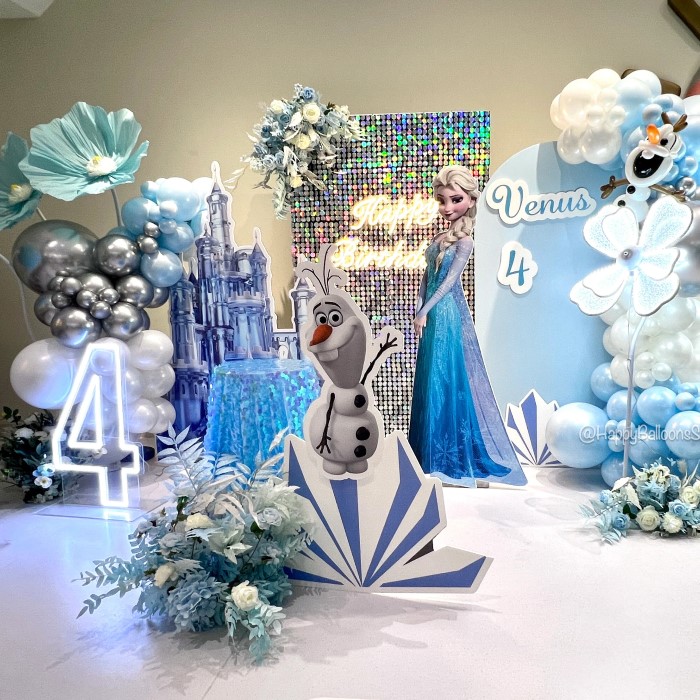 frozen party supplies