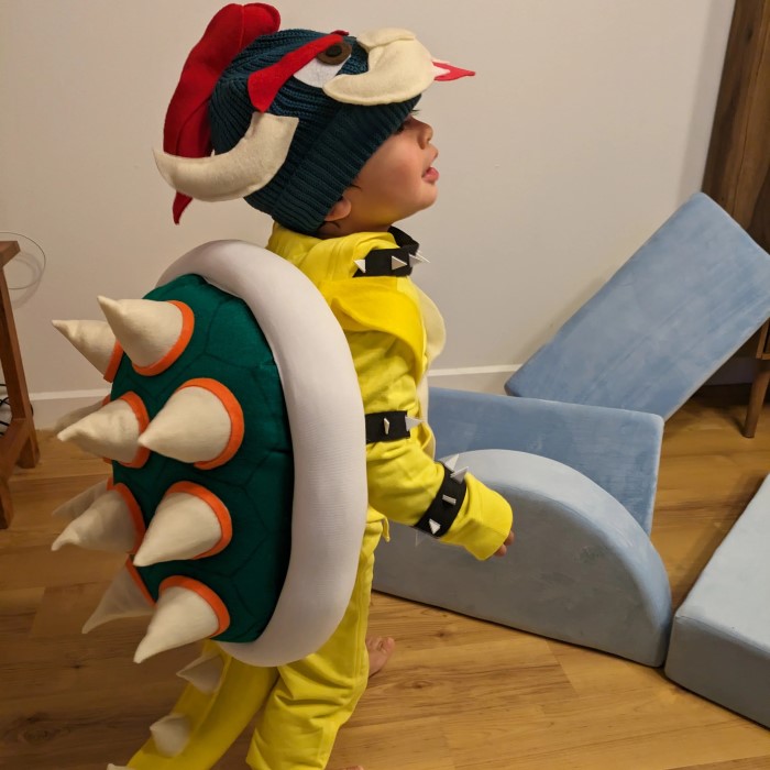 koopa troopa costume