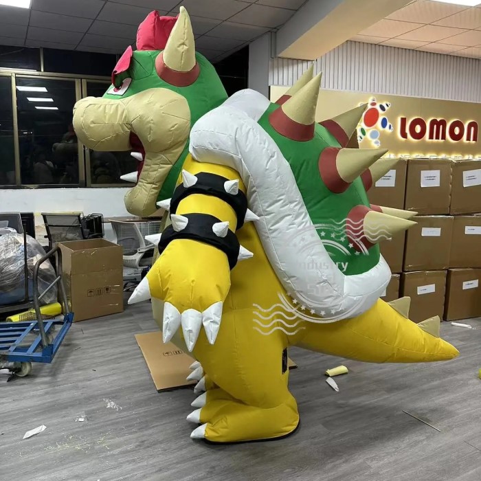 koopa troopa costume
