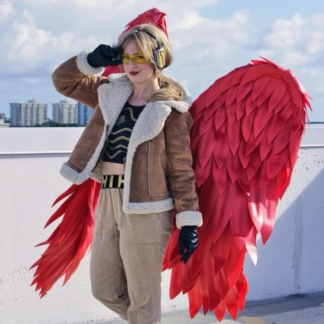 hawks cosplay