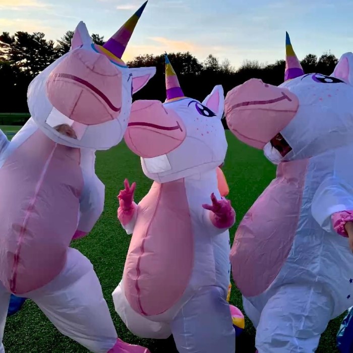 inflatable halloween costumes