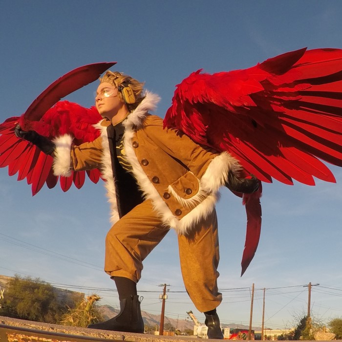 hawks cosplay