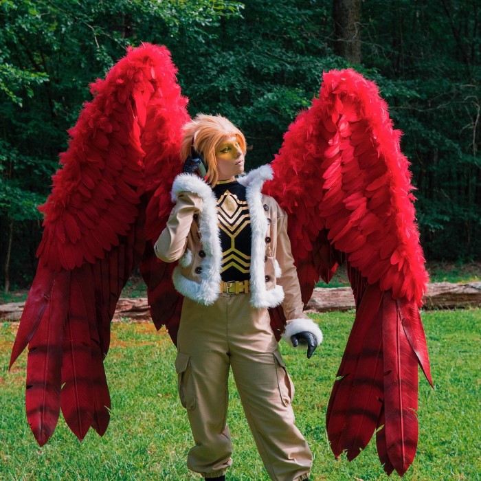 hawks cosplay