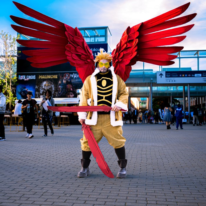 hawks cosplay