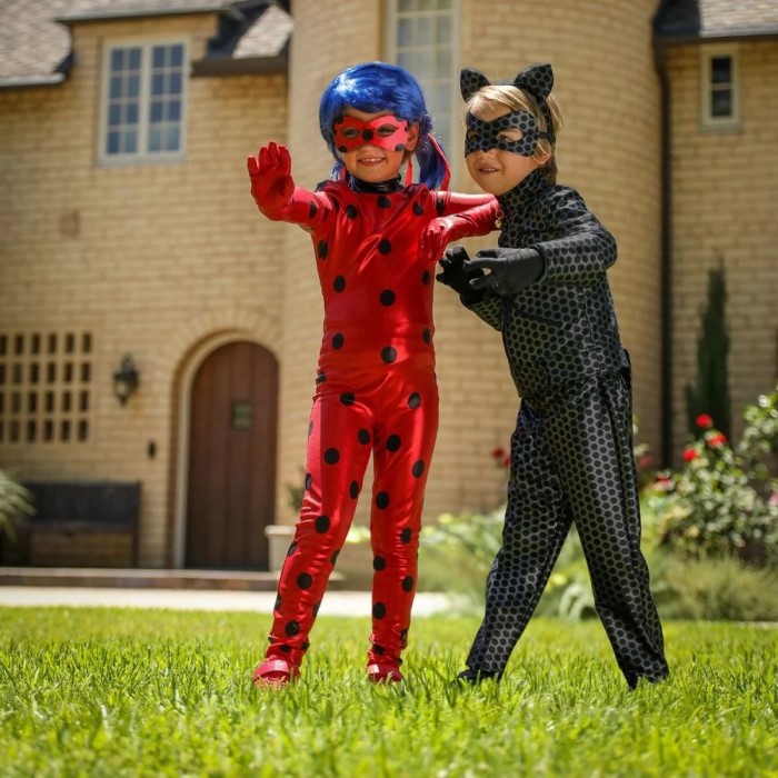 miraculous ladybug costume