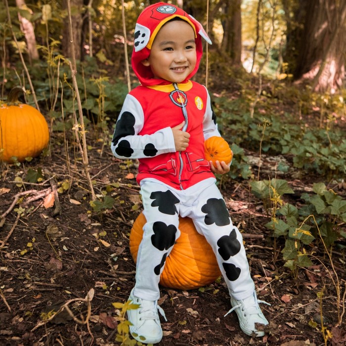 paw patrol costume