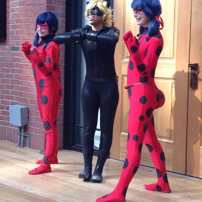 miraculous ladybug costume