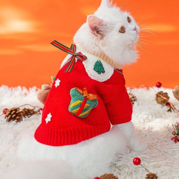 cat christmas outfit