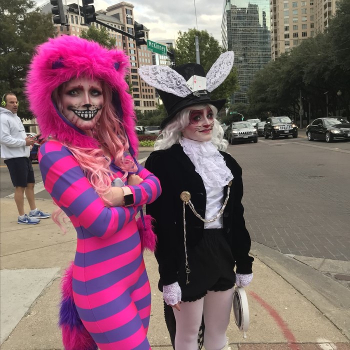cheshire cat costume