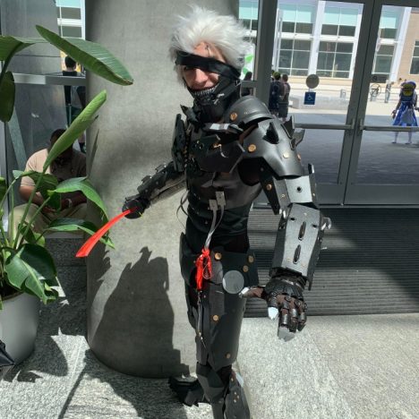 raiden cosplay