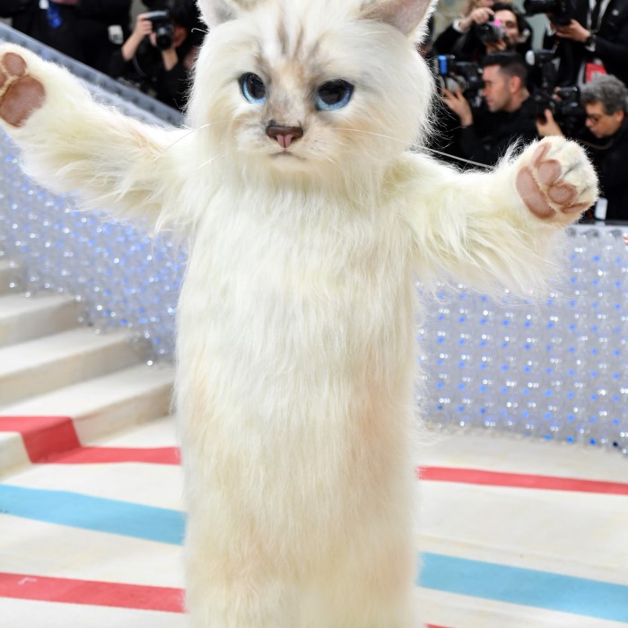 jared leto cat costume