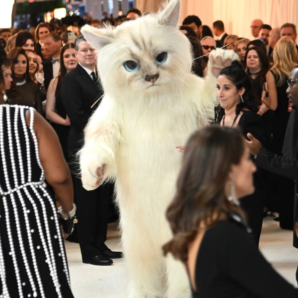 jared leto cat costume