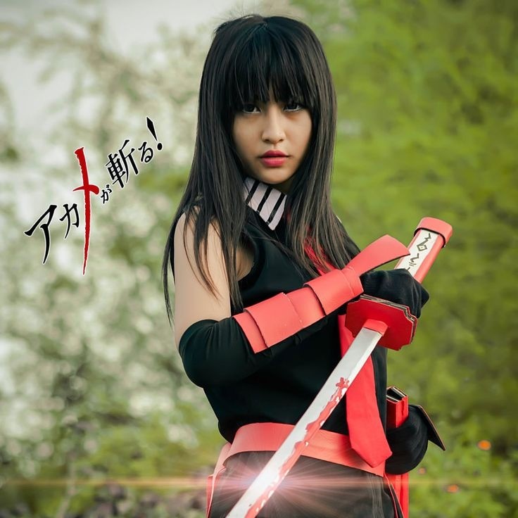akame ga kill cosplay