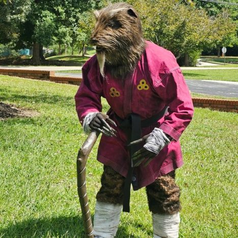 master splinter costume