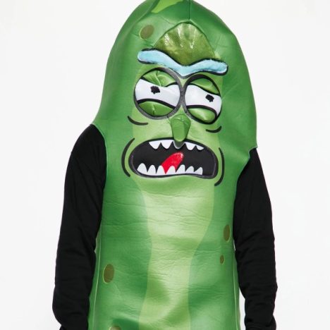 pickle rick costume
