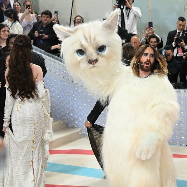 jared leto cat costume