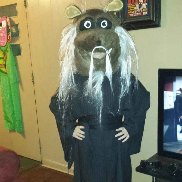 master splinter costume