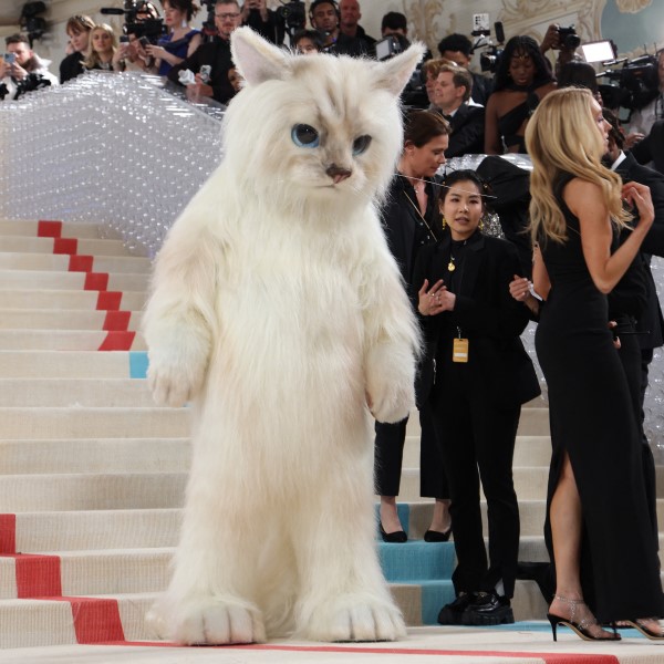 jared leto cat costume