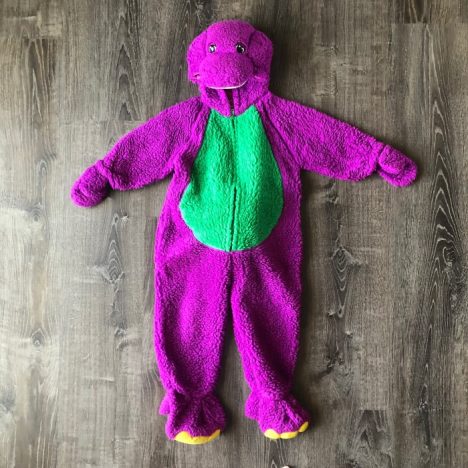 barney costume