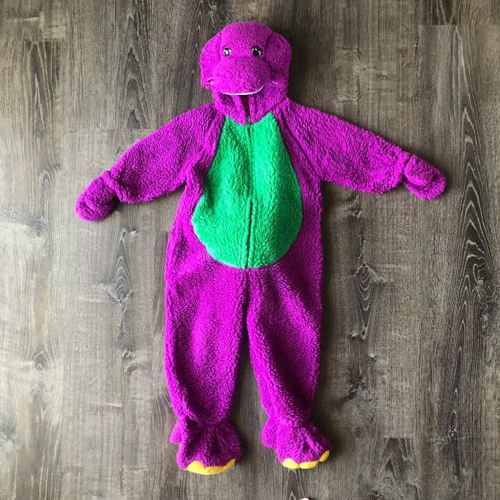 barney costume