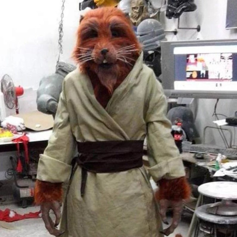 master splinter costume