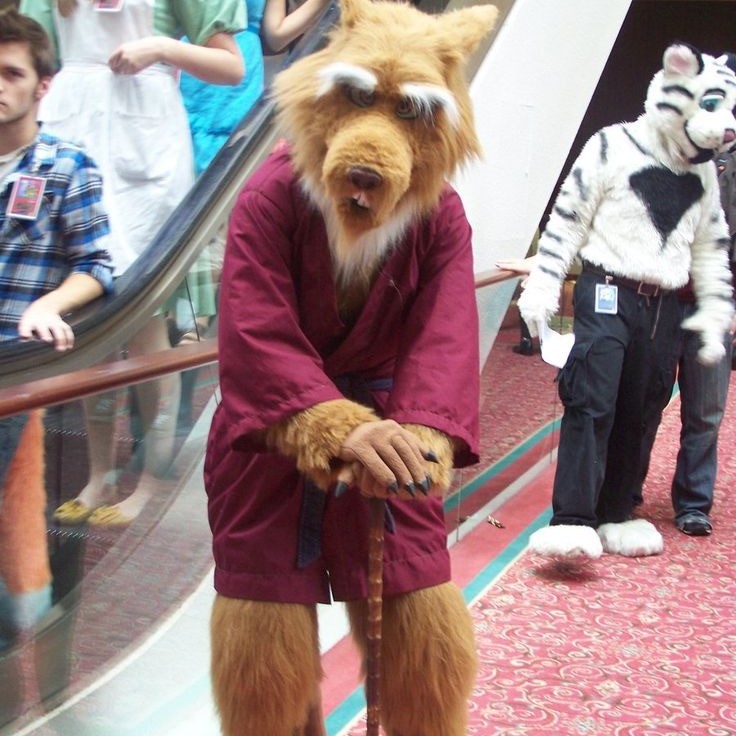 master splinter costume