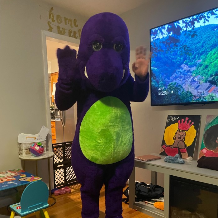 barney costume