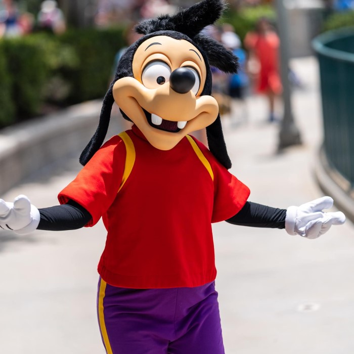 max goof costume